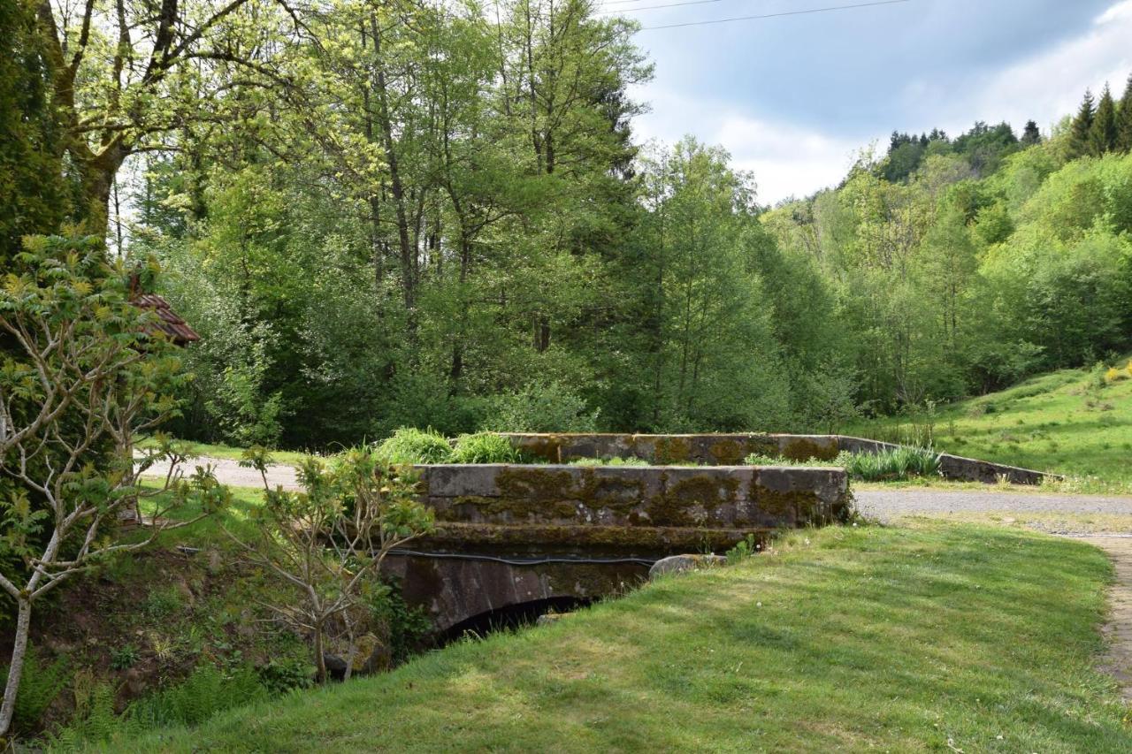 Vacance Conviviales Dans Les Vosges 8 Gites Ban-de-Sapt Экстерьер фото