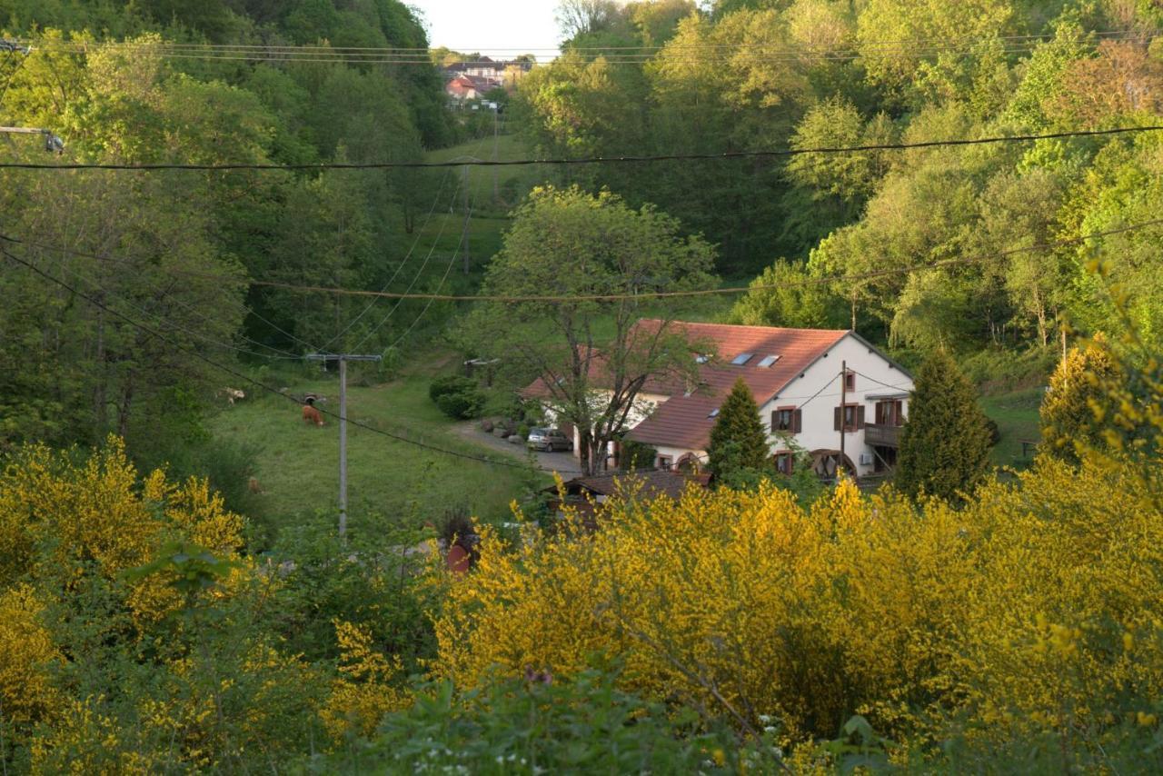 Vacance Conviviales Dans Les Vosges 8 Gites Ban-de-Sapt Экстерьер фото