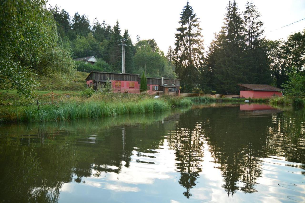 Vacance Conviviales Dans Les Vosges 8 Gites Ban-de-Sapt Экстерьер фото